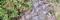 Roman Walls Tongeren