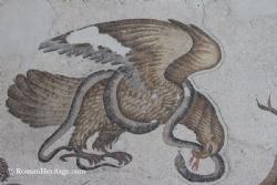 Museum Mosaics Mosaicos Museo