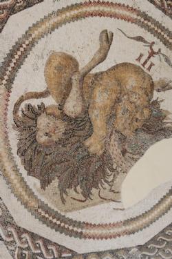 Mosaics Museum El Djem