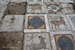 House of Birds Roman Vila