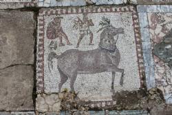 Floor with horses and marbles