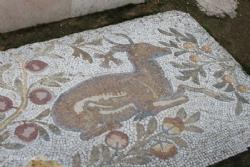 Mosaics of Birds and animals