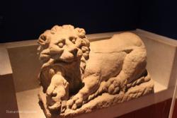 Museum Bad Homburg and Petronell Carnutum