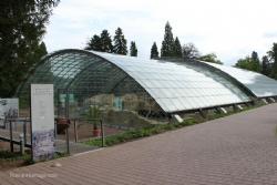 Badenweiler Roman Baths Termae