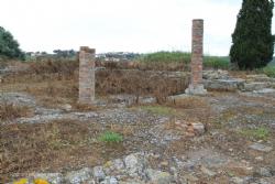 7 Forum 1st Century