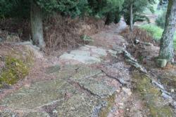 10 Roman Caseways