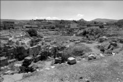 Amfiteatrum Algeria Tebessa Theveste