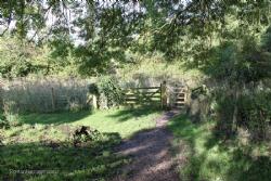 Amfiteatrum UK England Silchester Calleva Atrebatum ruined site