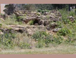 Algeria Roman Amphitheater Algeria (31)