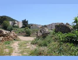 Algeria Roman Amphitheater Algeria (4)