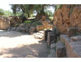 Algeria Roman Amphitheater Tipaza Tipasa  anfiteatro romano Algeria (28)