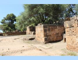 Algeria Roman Amphitheater Tipaza Tipasa  anfiteatro romano Algeria (52)