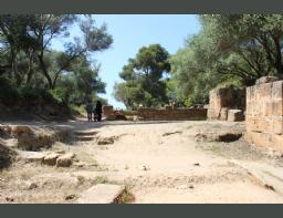 Algeria Roman Amphitheater Tipaza Tipasa  anfiteatro romano Algeria (53)