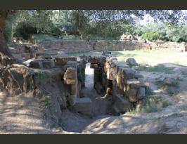 Algeria Roman Amphitheater Tipaza Tipasa  anfiteatro romano Algeria (60)