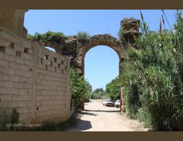 Algeria Roman Aqueducts in Cherchell Cesarea Algeria  (30)