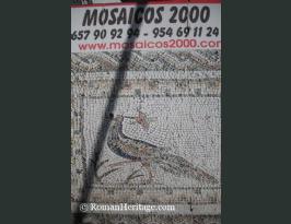 Varios empresa Mosaicos 2000.JPG
