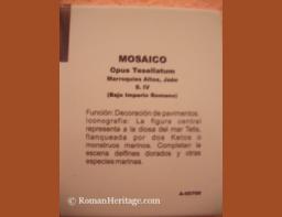 Spain Andalucia Jaen Museo arqueologico Museum mosaico roman mosaics -4-.JPG