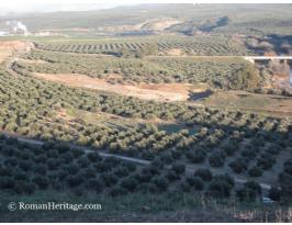 Spain Andalucia Jaen Castulo site yacimiento -35-.JPG