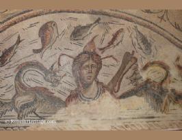Spain Andalucia Jaen Museo arqueologico Museum mosaico roman mosaics -10-.JPG