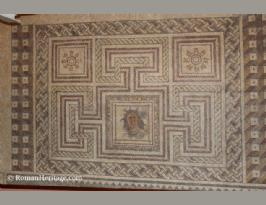 Spain Andalucia Jaen Museo arqueologico Museum mosaico roman mosaics -13-.JPG