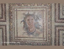 Spain Andalucia Jaen Museo arqueologico Museum mosaico roman mosaics -16-.JPG