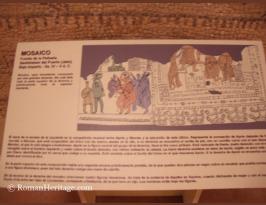 Spain Andalucia Jaen Museo arqueologico Museum mosaico roman mosaics -8-.JPG