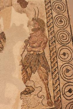 Mosaicos romanos del museo de Navarra