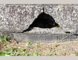 Croatia Salona tumbas Tombs -15-.JPG