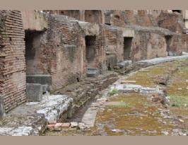 Italy Rome Colosseum Coliseo (46) (Copiar)