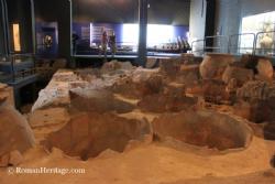 Marseille Roman Docks Museum Museo muelles