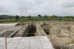 Native neibourghood by and under the Forum