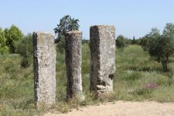 Beaucaire Caesar-s Columns Miliarios