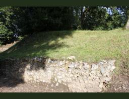Silchester amphitheater ruined site (5) (Copiar)