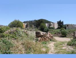 Algeria Roman Amphitheater Algeria (3)