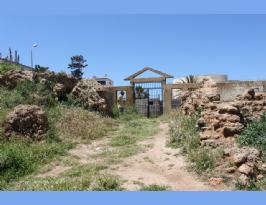 Algeria Roman Amphitheater Algeria (39)