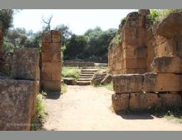 Algeria Roman Amphitheater Tipaza Tipasa  anfiteatro romano Algeria (50)