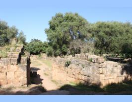Algeria Roman Amphitheater Tipaza Tipasa  anfiteatro romano Algeria (57)